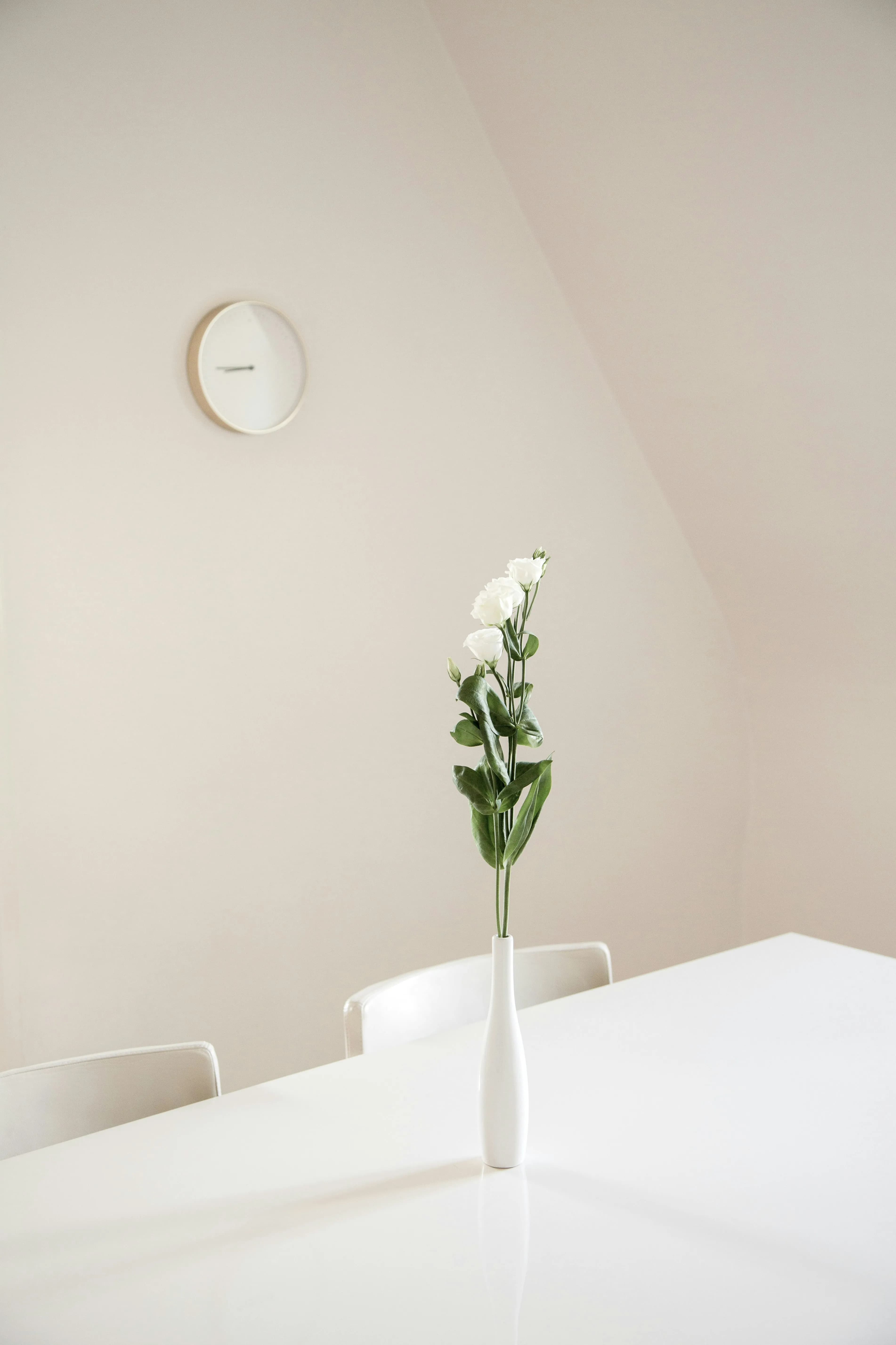 Decorative Vases